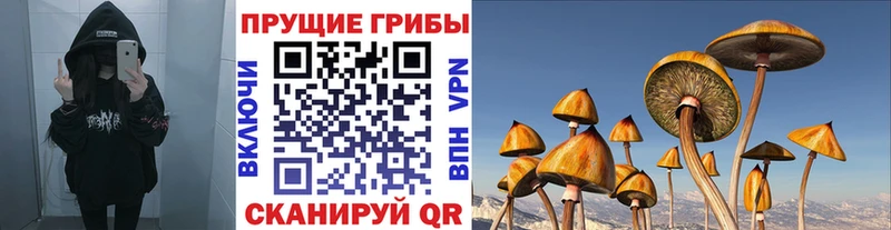 Псилоцибиновые грибы GOLDEN TEACHER  Купить где  Пятигорск 